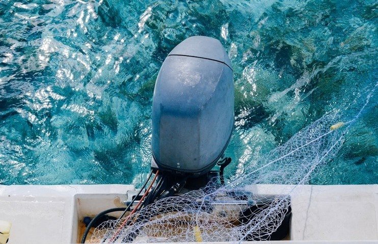 水产养殖中的AI捕捞手